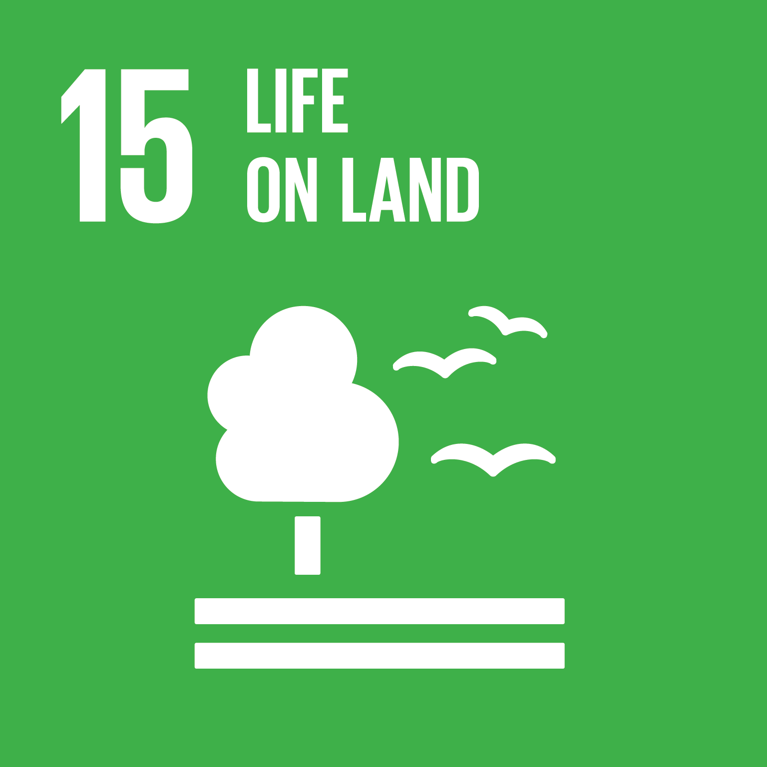 SDG 15